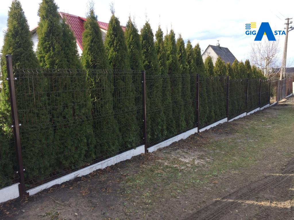 segmentinė tvora ruda